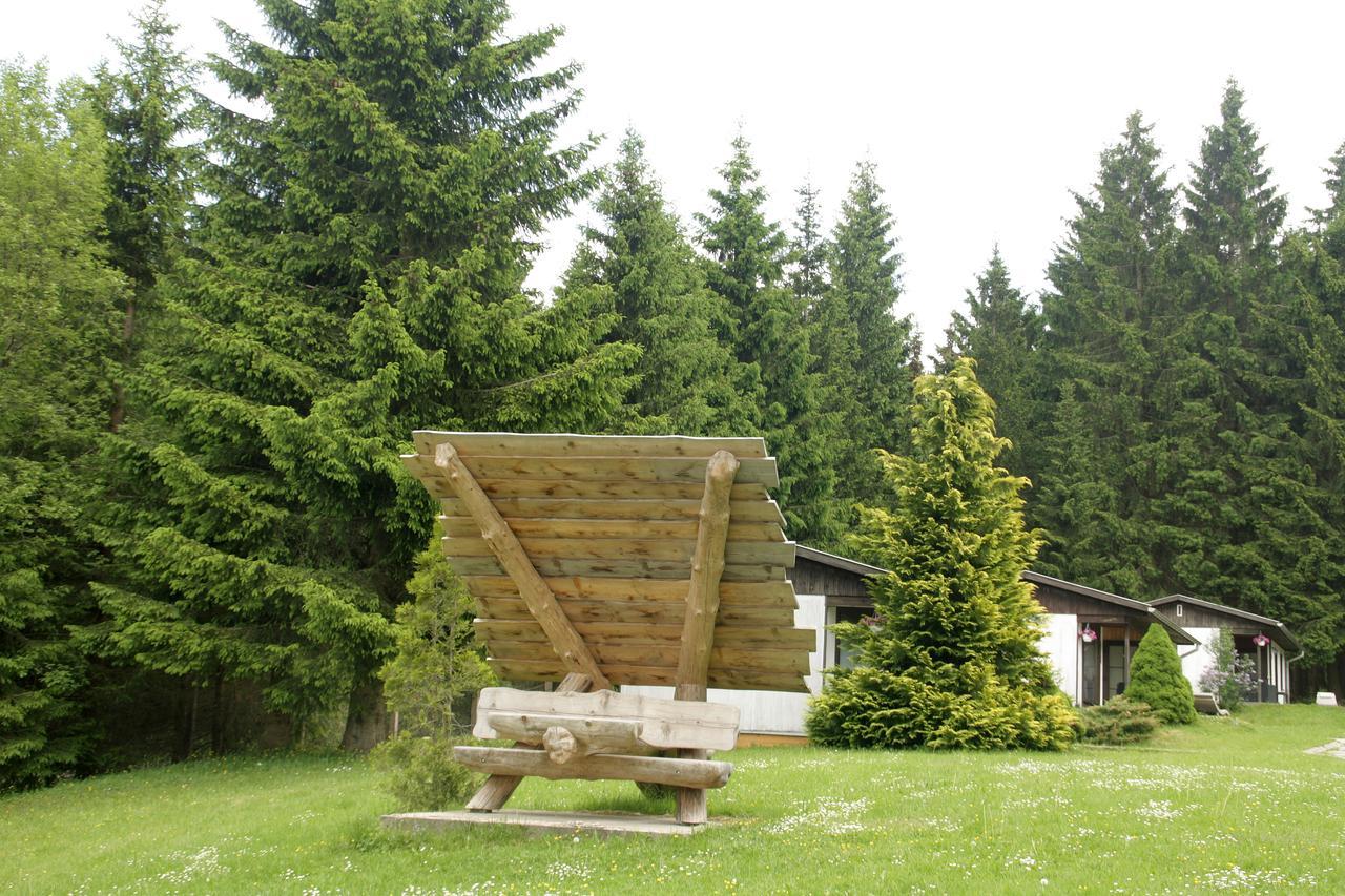 Waldhotel Rennsteighoehe 프라운왈드 외부 사진