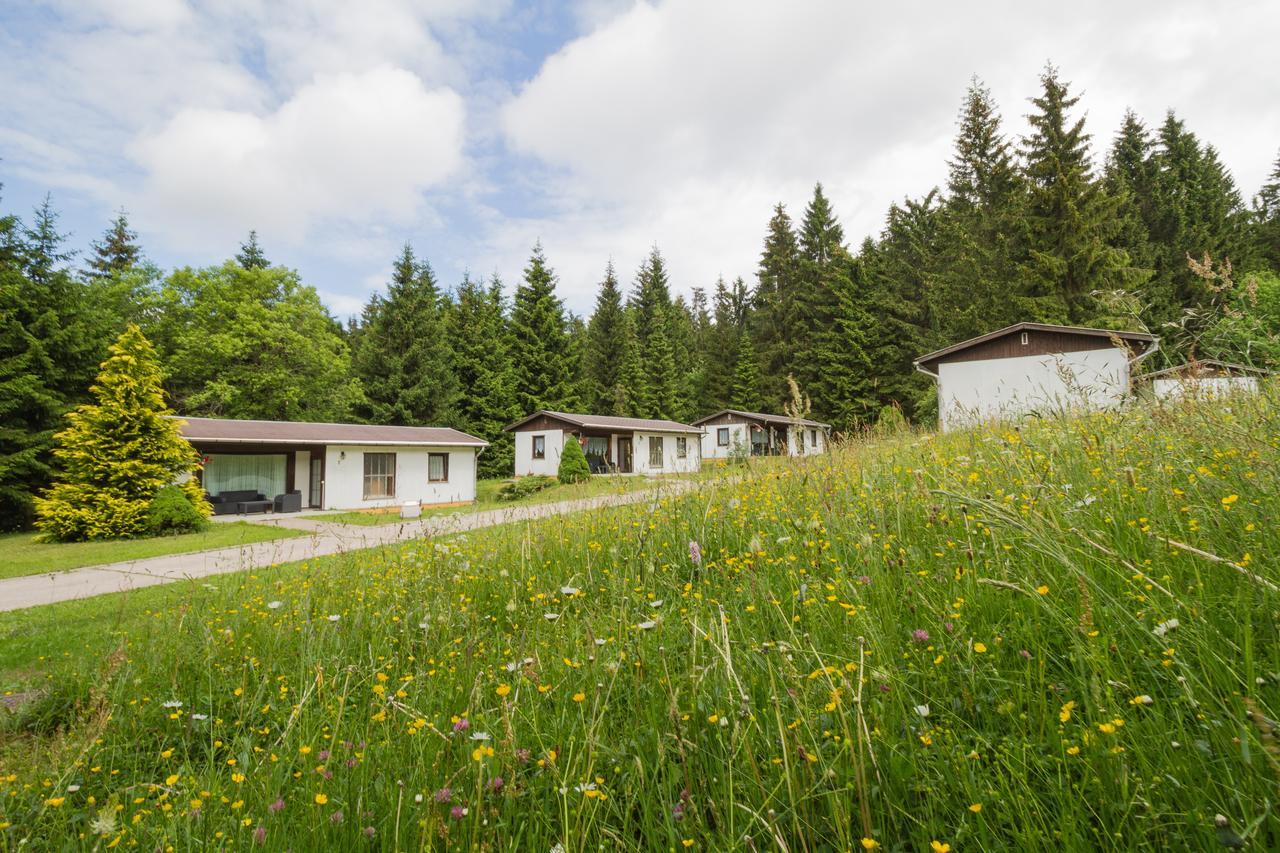 Waldhotel Rennsteighoehe 프라운왈드 외부 사진